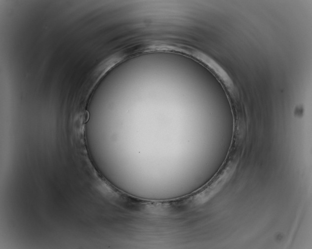 X0000103330809200809261159