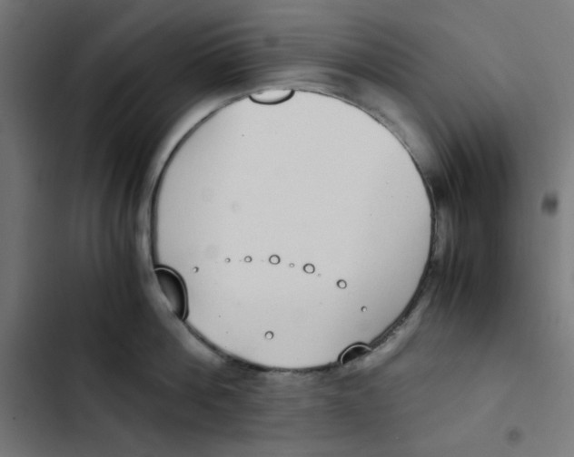 X0000103330812200809261159