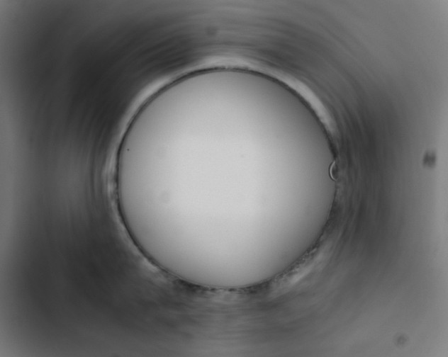 X0000103330815200809261159