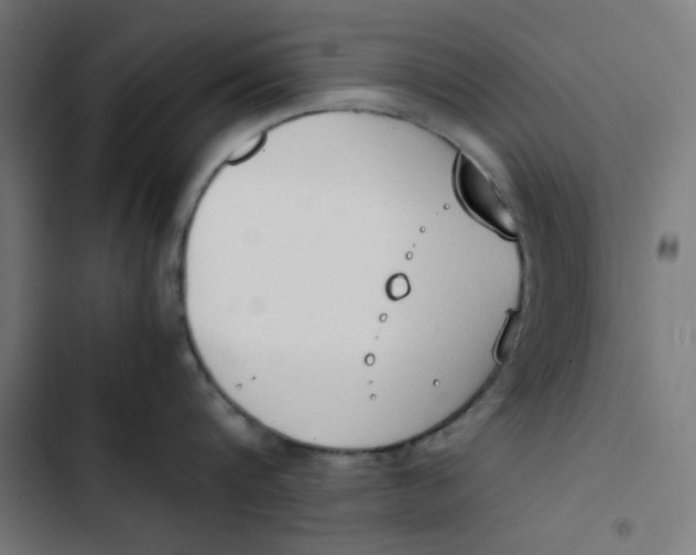 X0000103330816200809261159