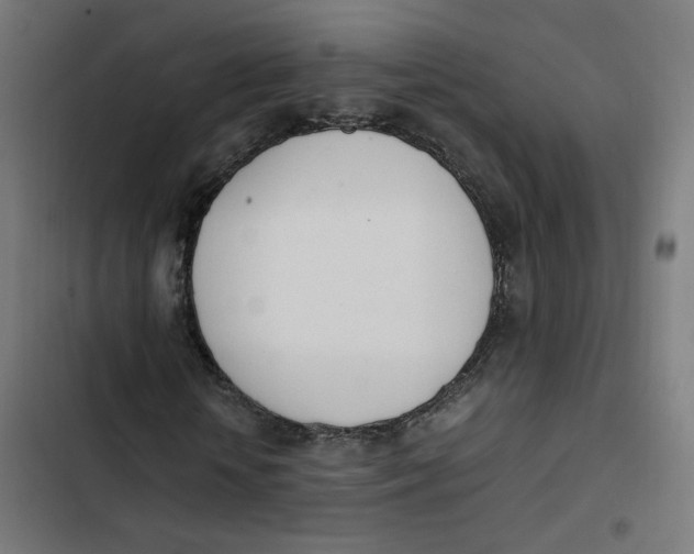 X0000103330818200809261159