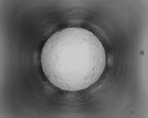 X0000103330819200809261159