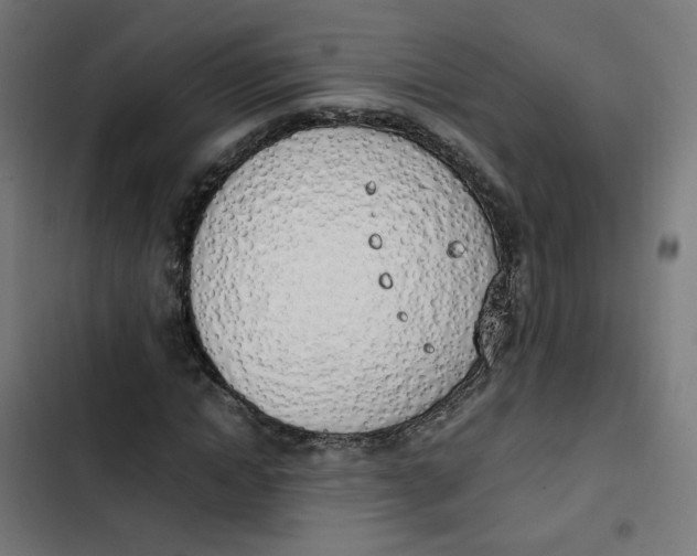 X0000103330822200809261159