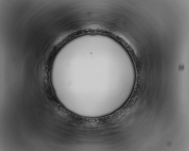 X0000103330823200809261159