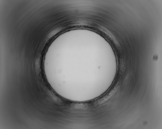 X0000103330826200809261159