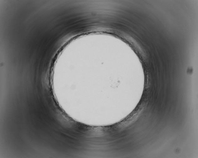 X0000103330828200809261159