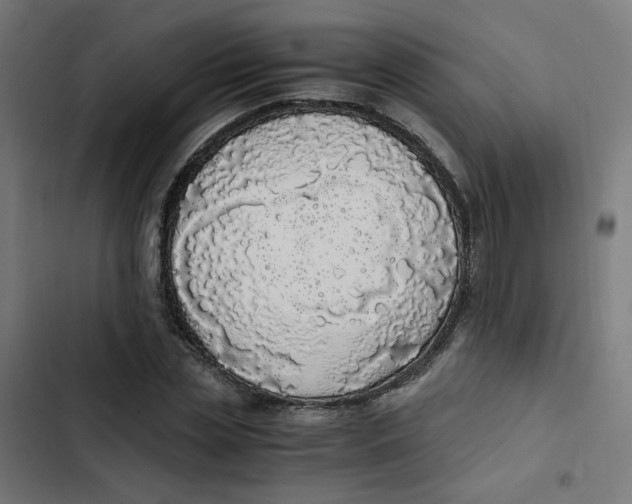 X0000103330829200809261159