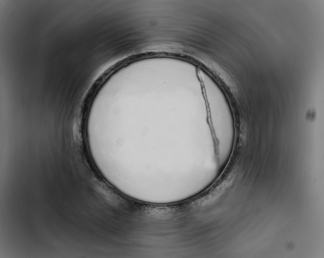 X0000103330830200809261159