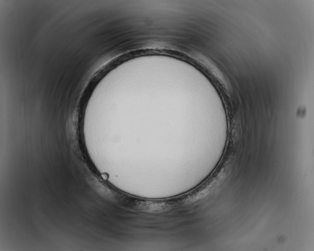 X0000103330831200809261159