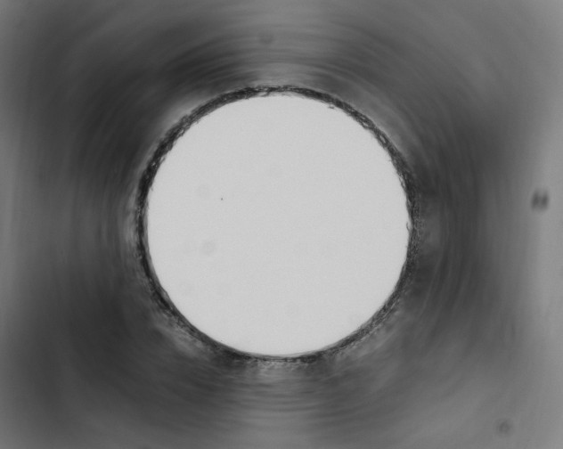 X0000103330832200809261159