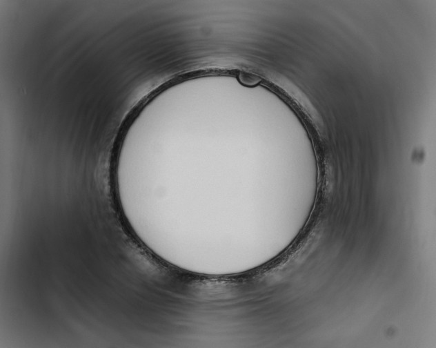 X0000103330834200809261159