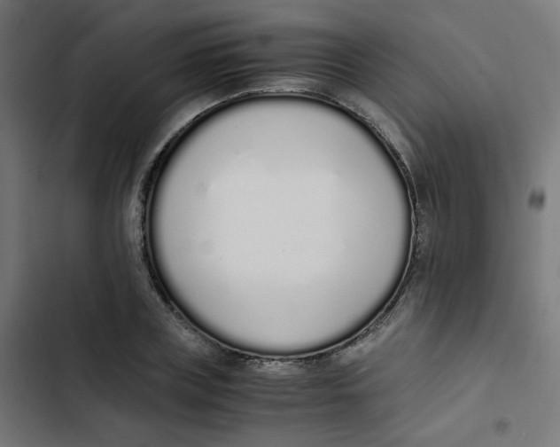 X0000103330835200809261159