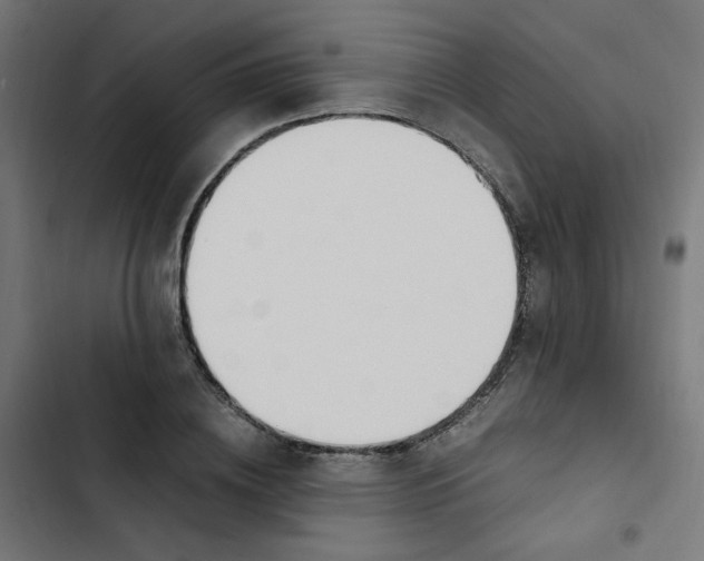 X0000103330836200809261159