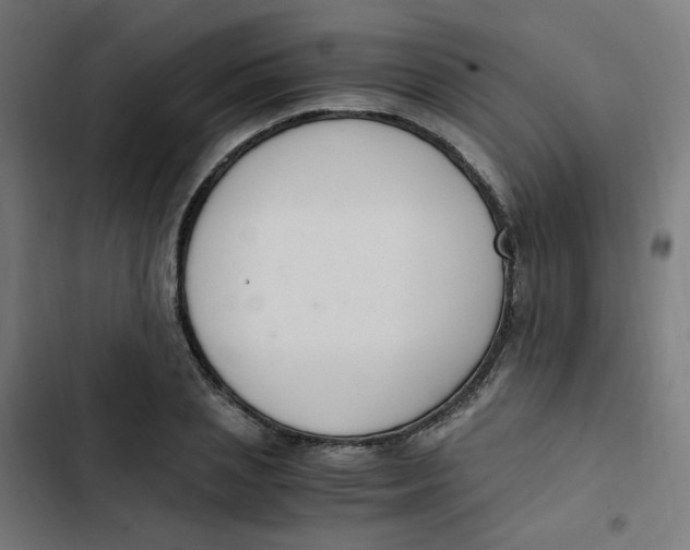 X0000103330837200809261159