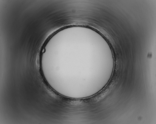 X0000103330838200809261159