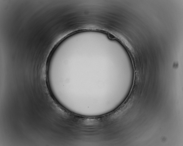 X0000103330839200809261159