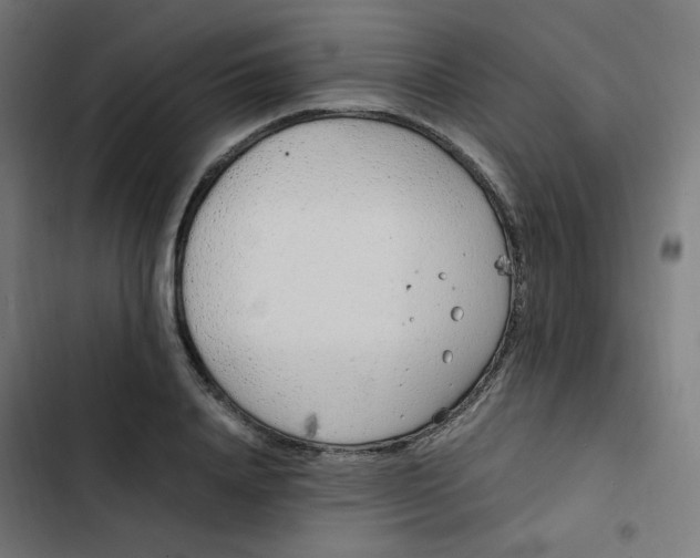 X0000103330840200809261159