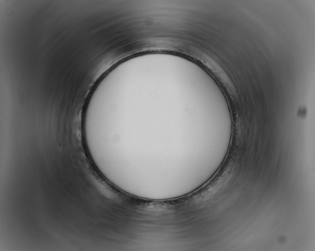 X0000103330842200809261159