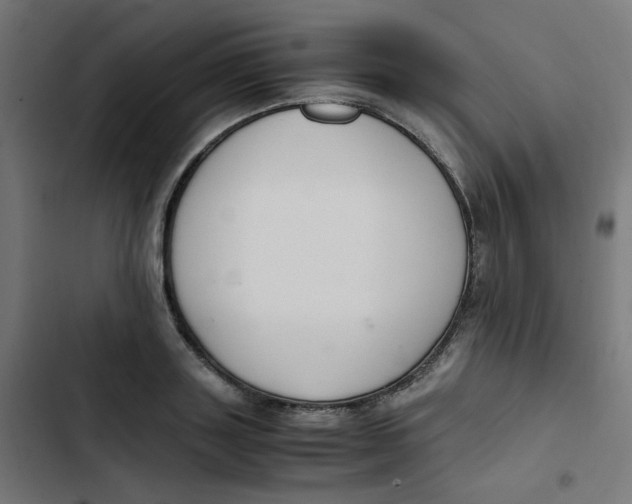 X0000103330843200809261159