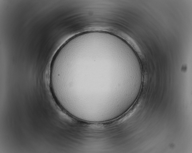 X0000103330844200809261159