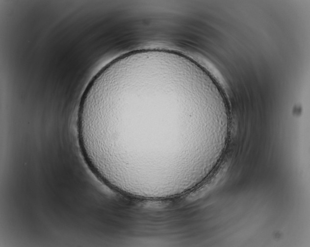 X0000103330847200809261159