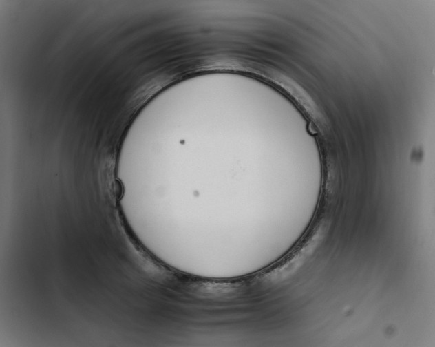 X0000103330849200809261159