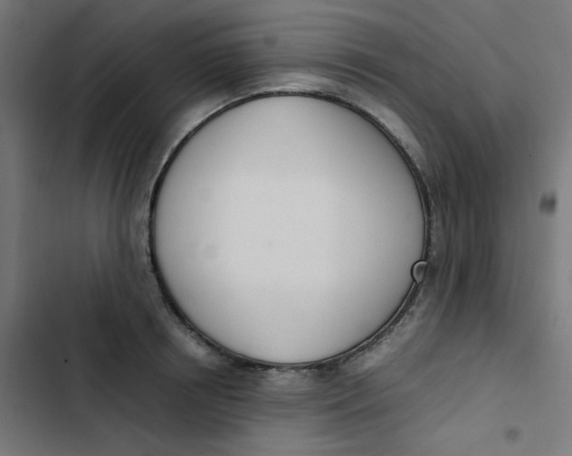 X0000103330850200809261159