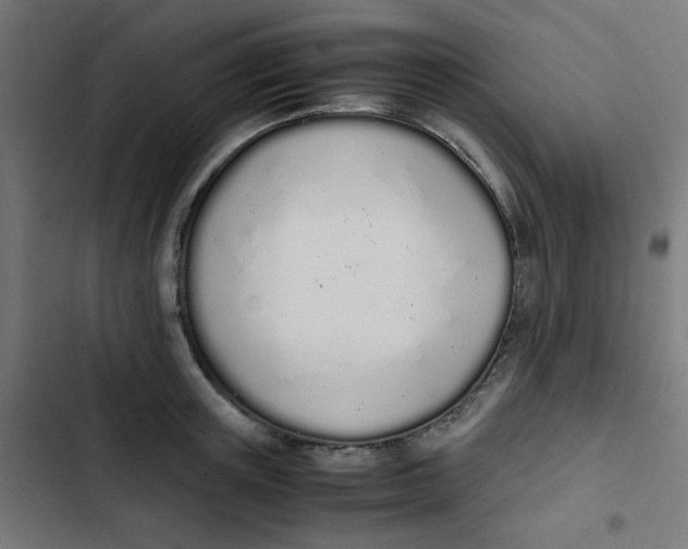 X0000103330851200809261159