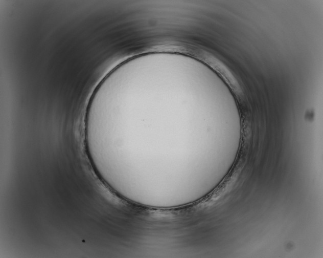 X0000103330852200809261159