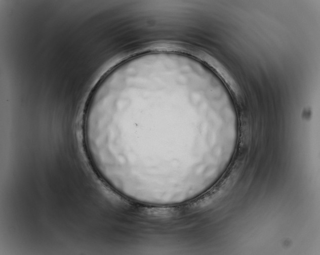 X0000103330853200809261159