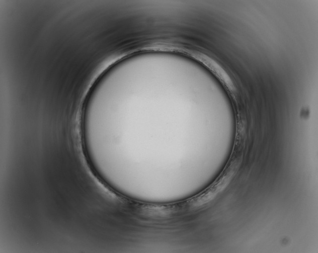 X0000103330855200809261159