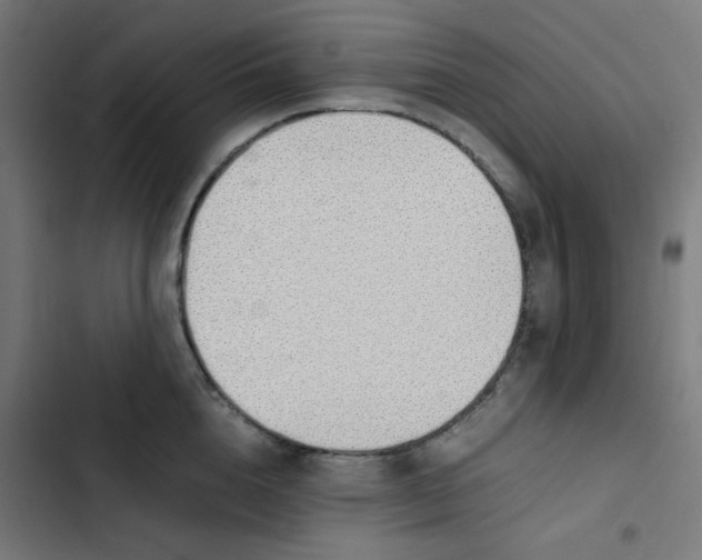 X0000103330856200809261159