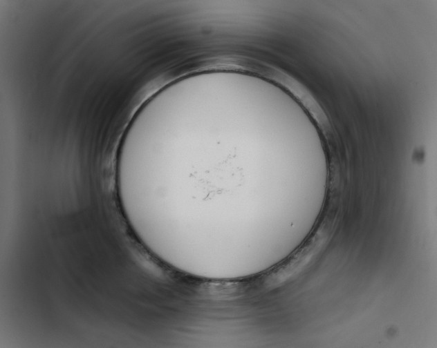 X0000103330858200809261159