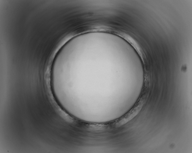 X0000103330859200809261159