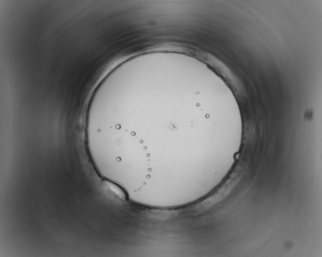 X0000103330860200809261159