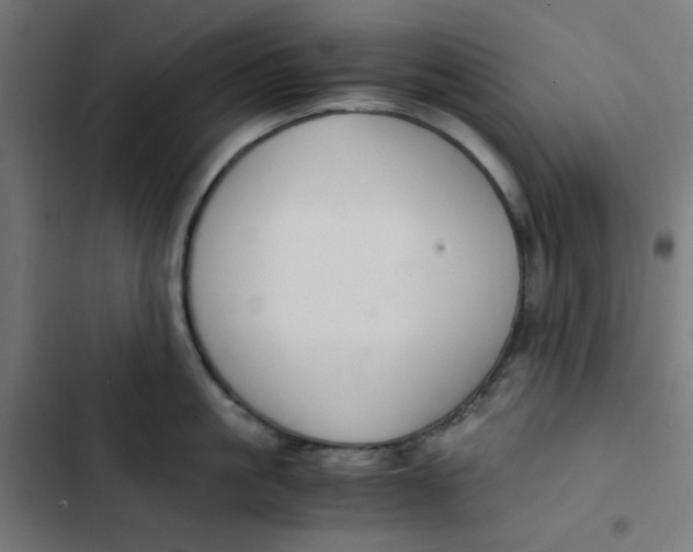 X0000103330861200809261159