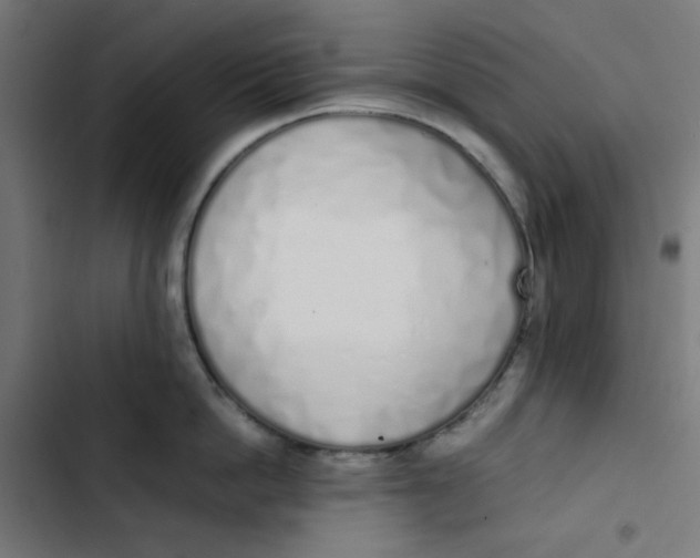 X0000103330862200809261159