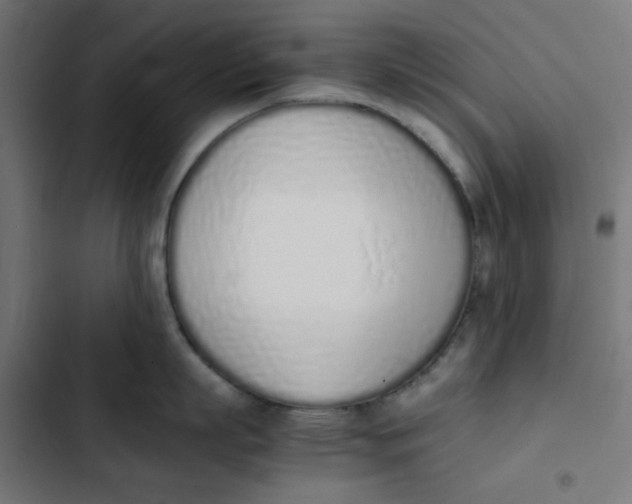 X0000103330863200809261159