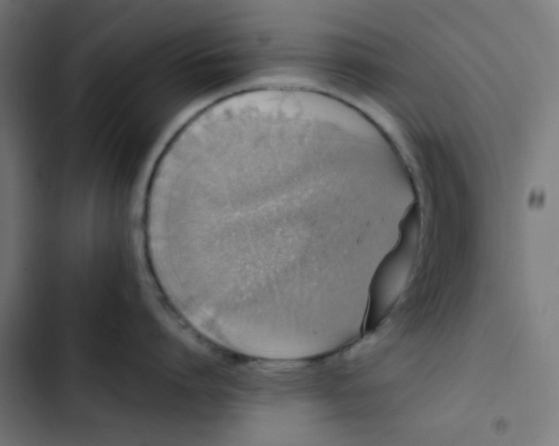 X0000103330864200809261159