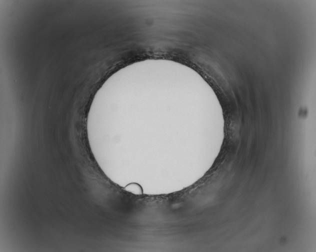 X0000103330865200809261159