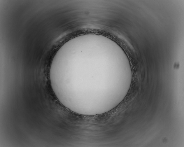 X0000103330870200809261159