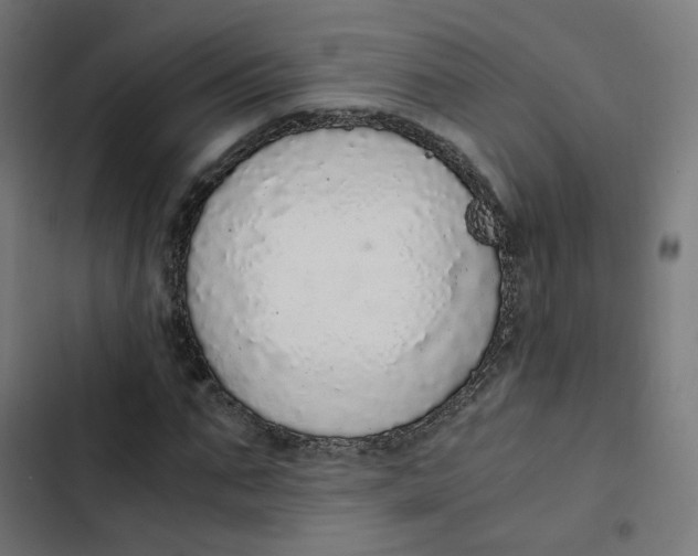 X0000103330871200809261158