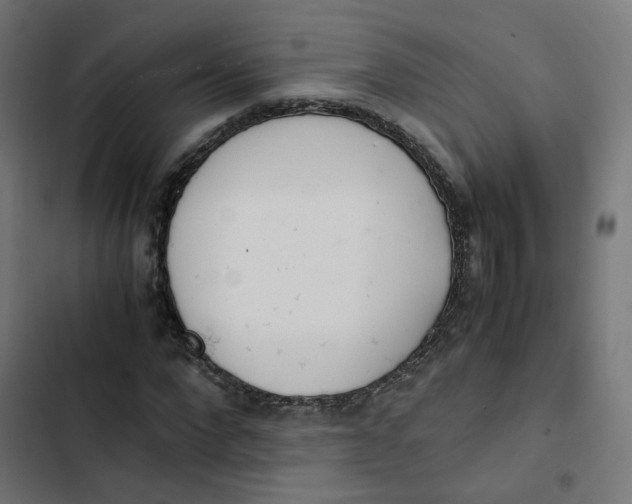 X0000103330872200809261158