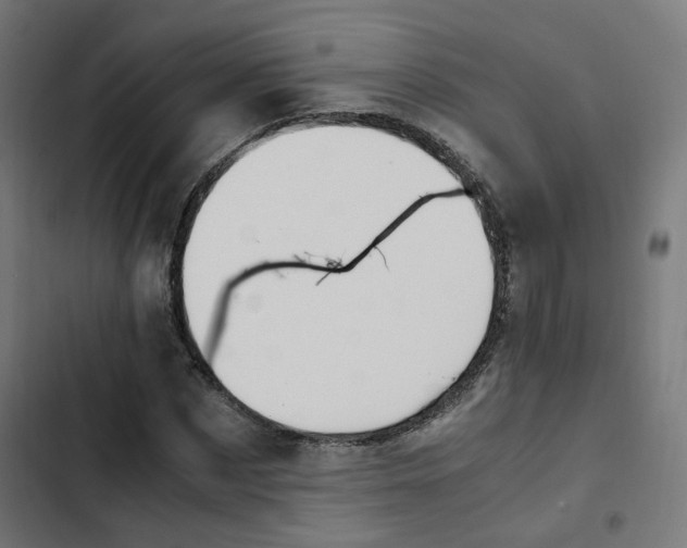 X0000103330873200809261158