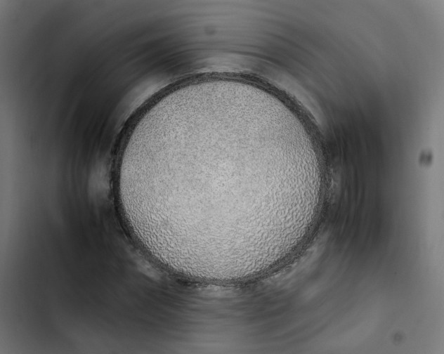 X0000103330874200809261158