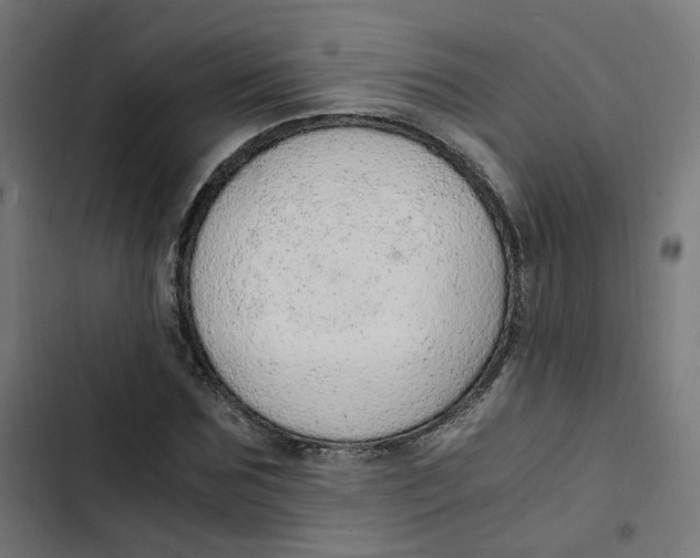 X0000103330875200809261158