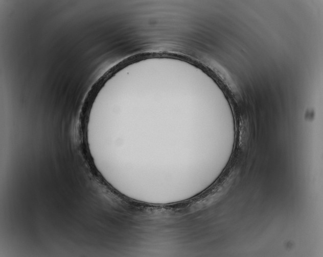 X0000103330876200809261158