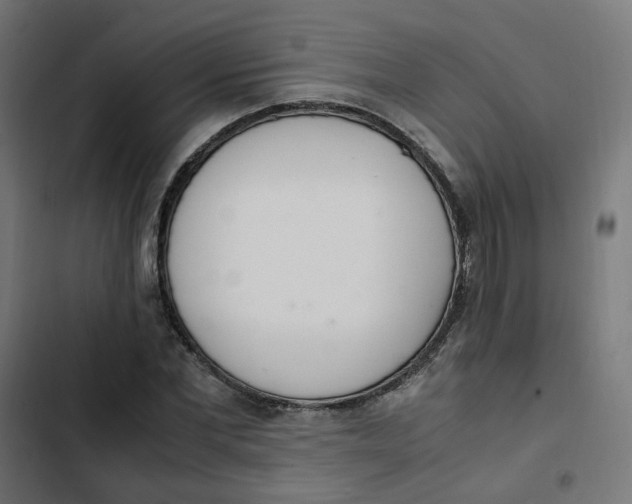 X0000103330877200809261158