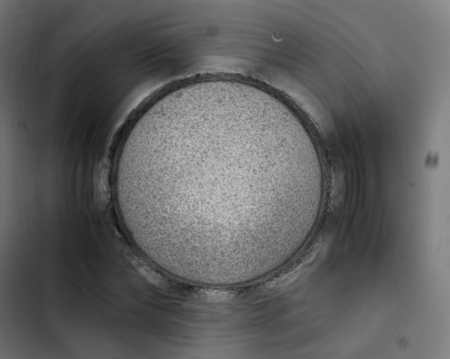 X0000103330878200809261158