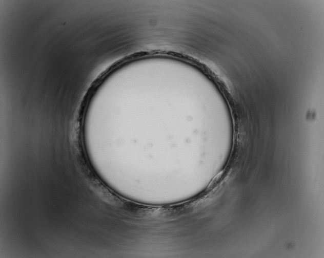 X0000103330879200809261158